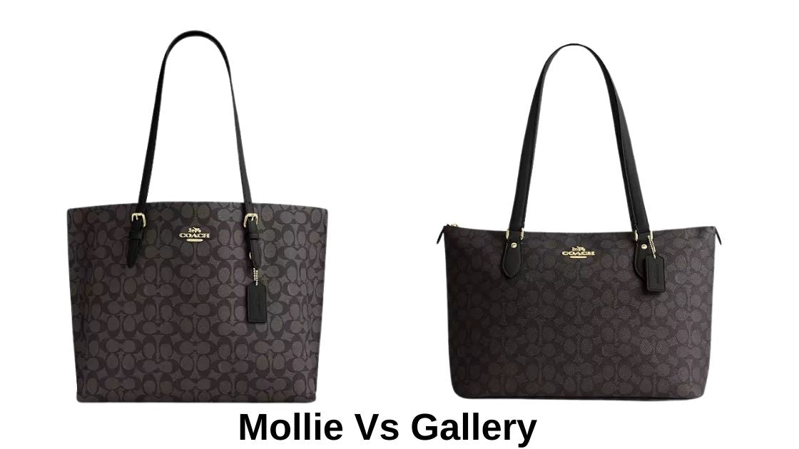 Coach Gallery Tote vs Mollie Tote – Which One Is Right for You?