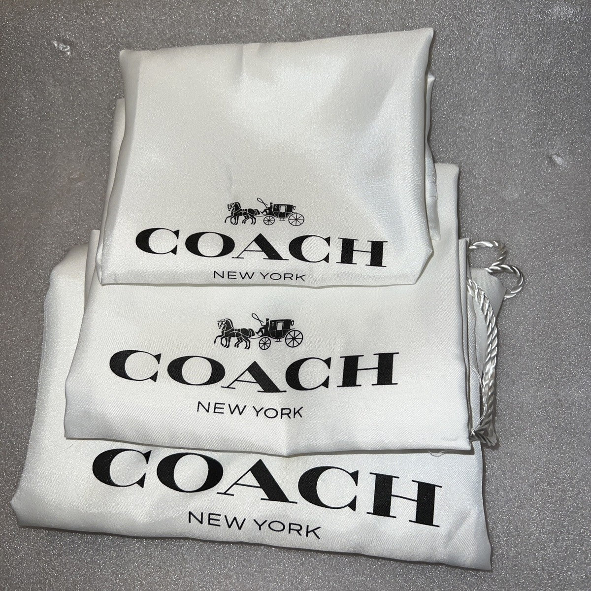 Coach Dust Bag