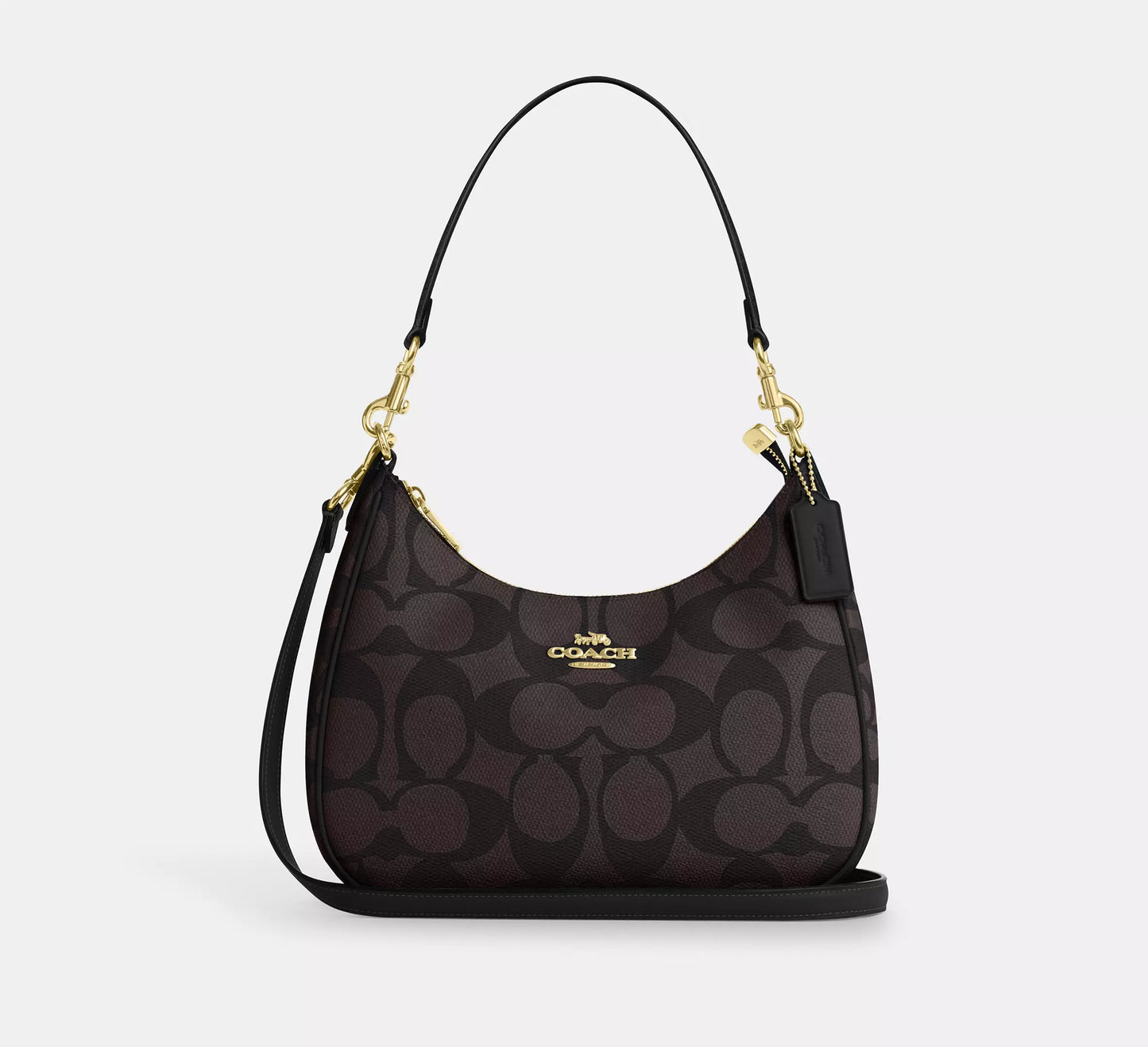 Coach Teri Hobo Bag