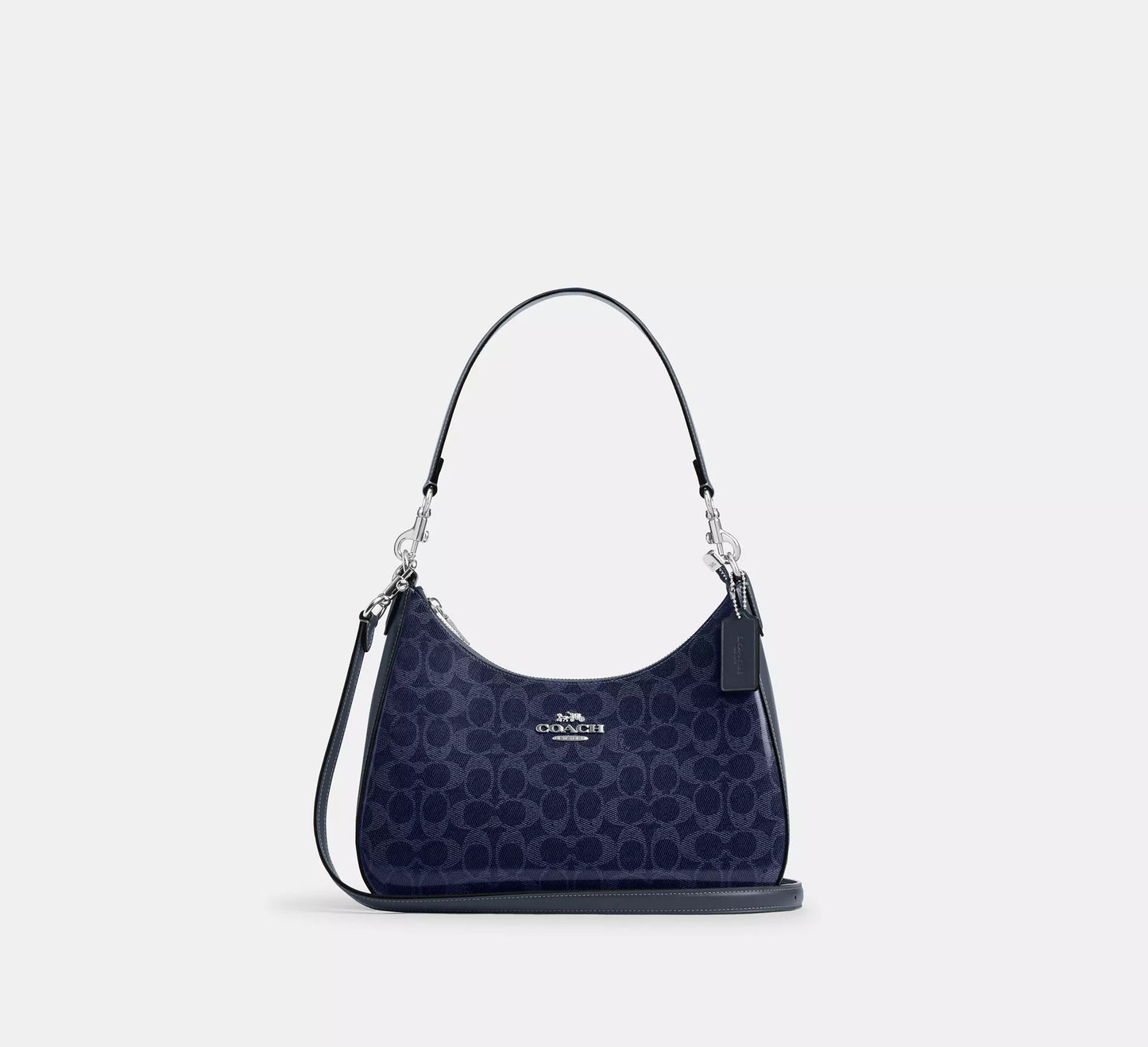 Coach Teri Hobo Bag