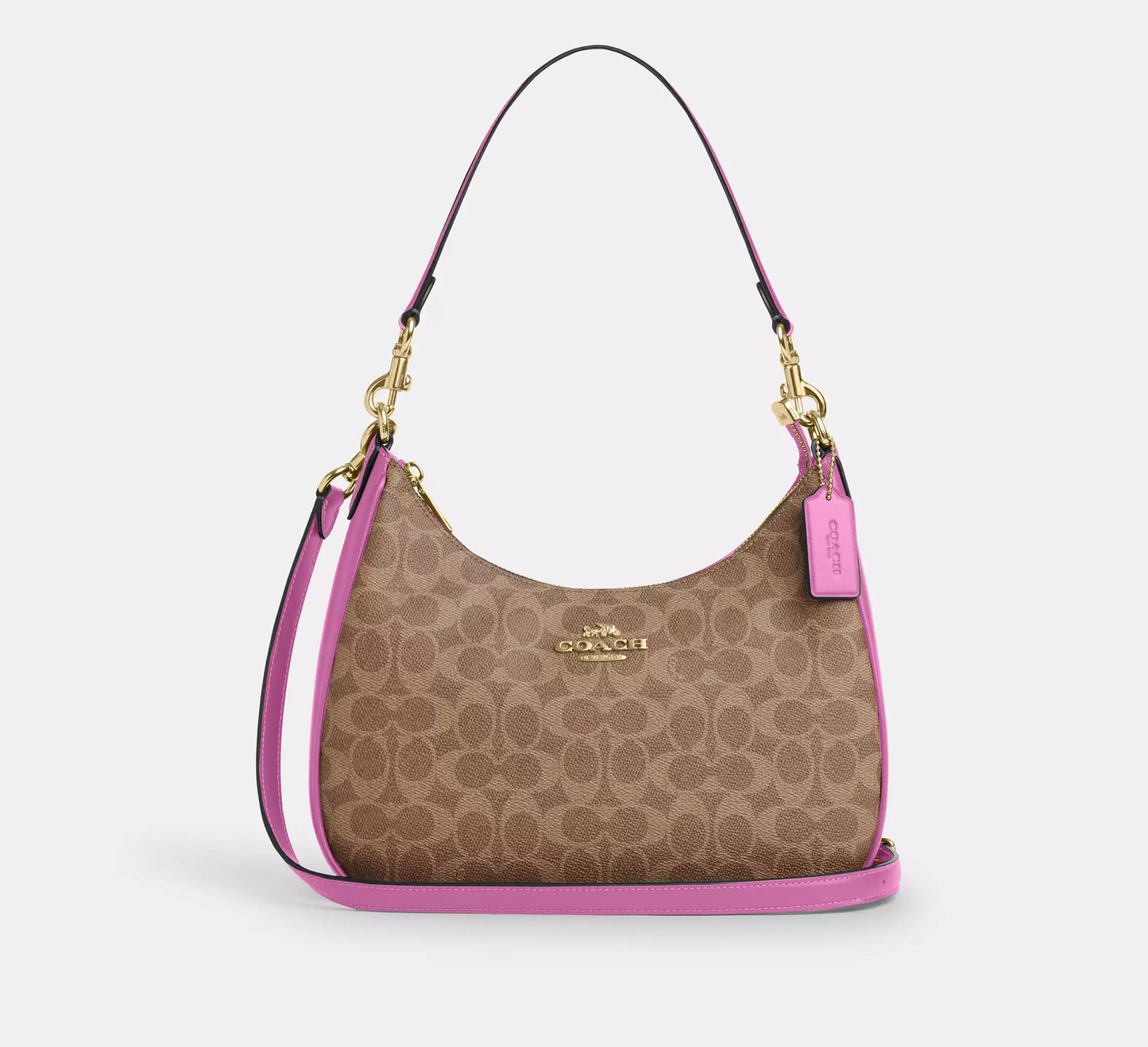 Coach Teri Hobo Bag