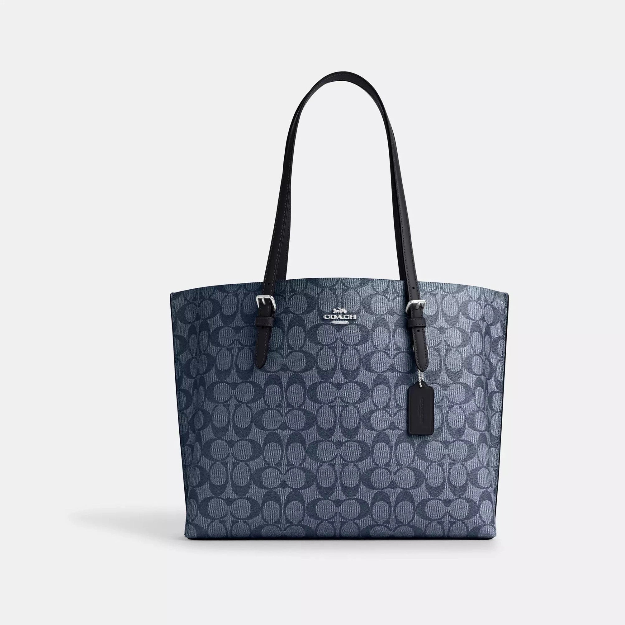 Coach Mollie Tote Bag