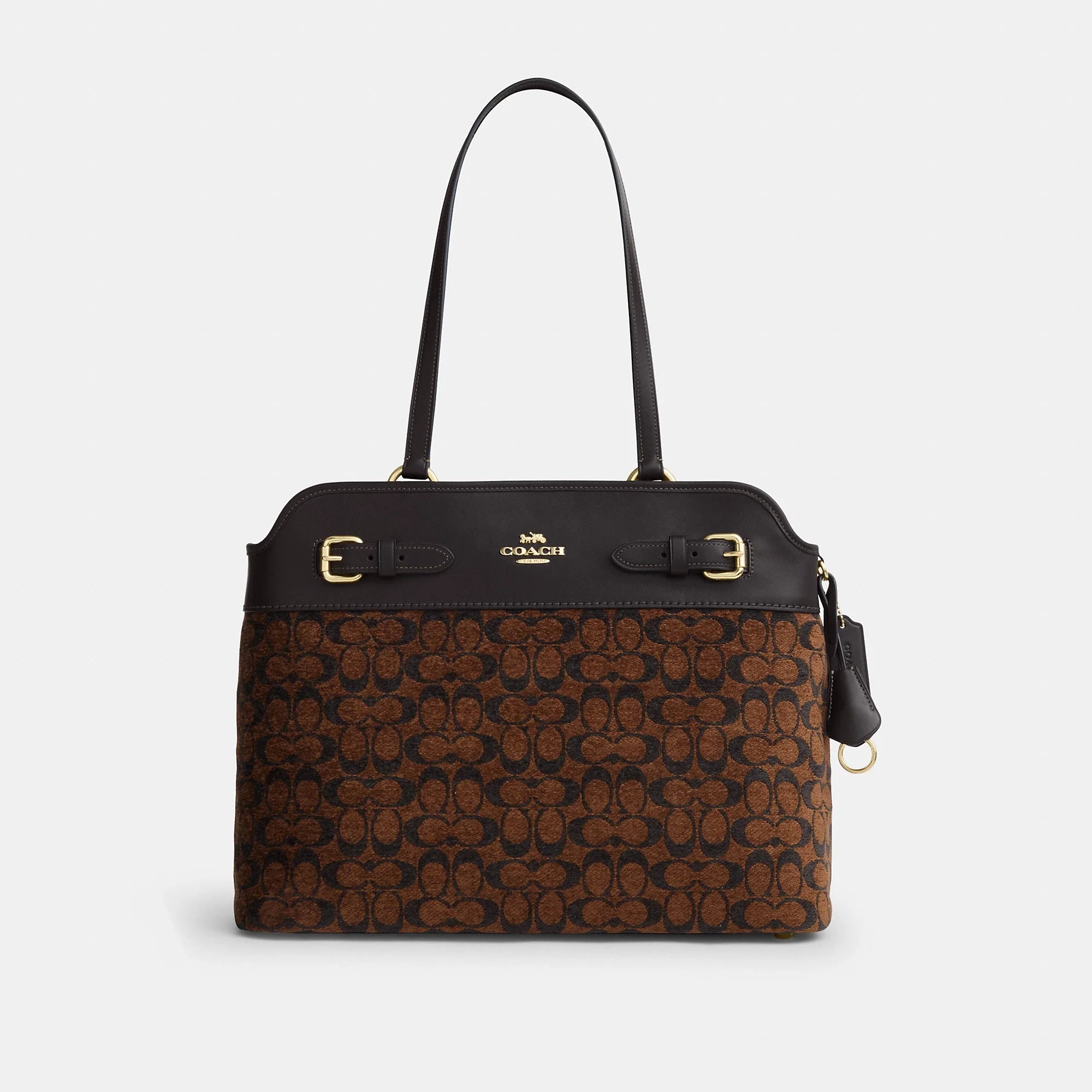 Coach Easton Tote Bag Signature Chenille