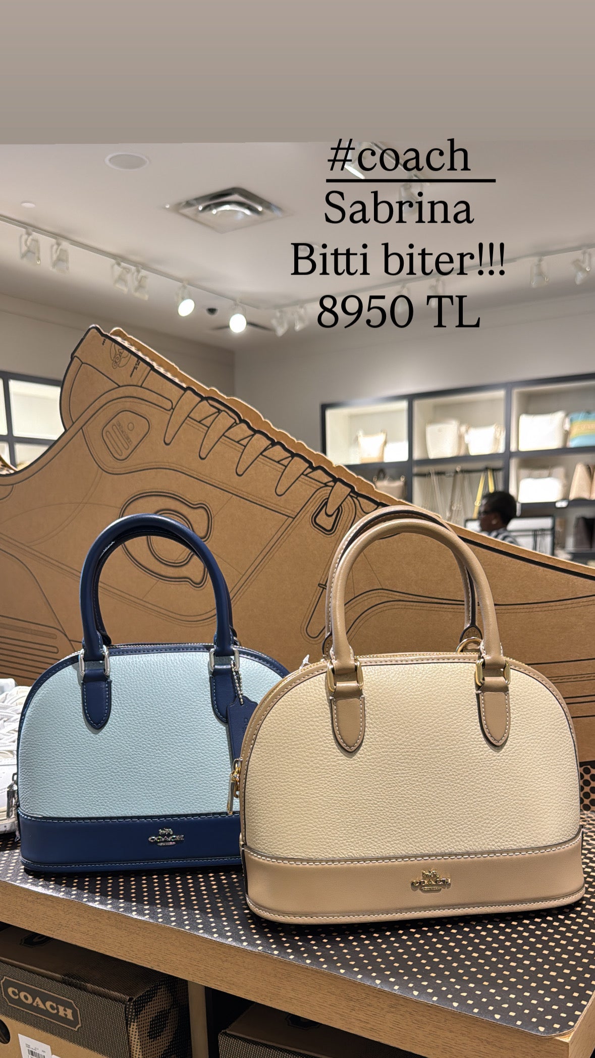 Coach Sabrina Satchel