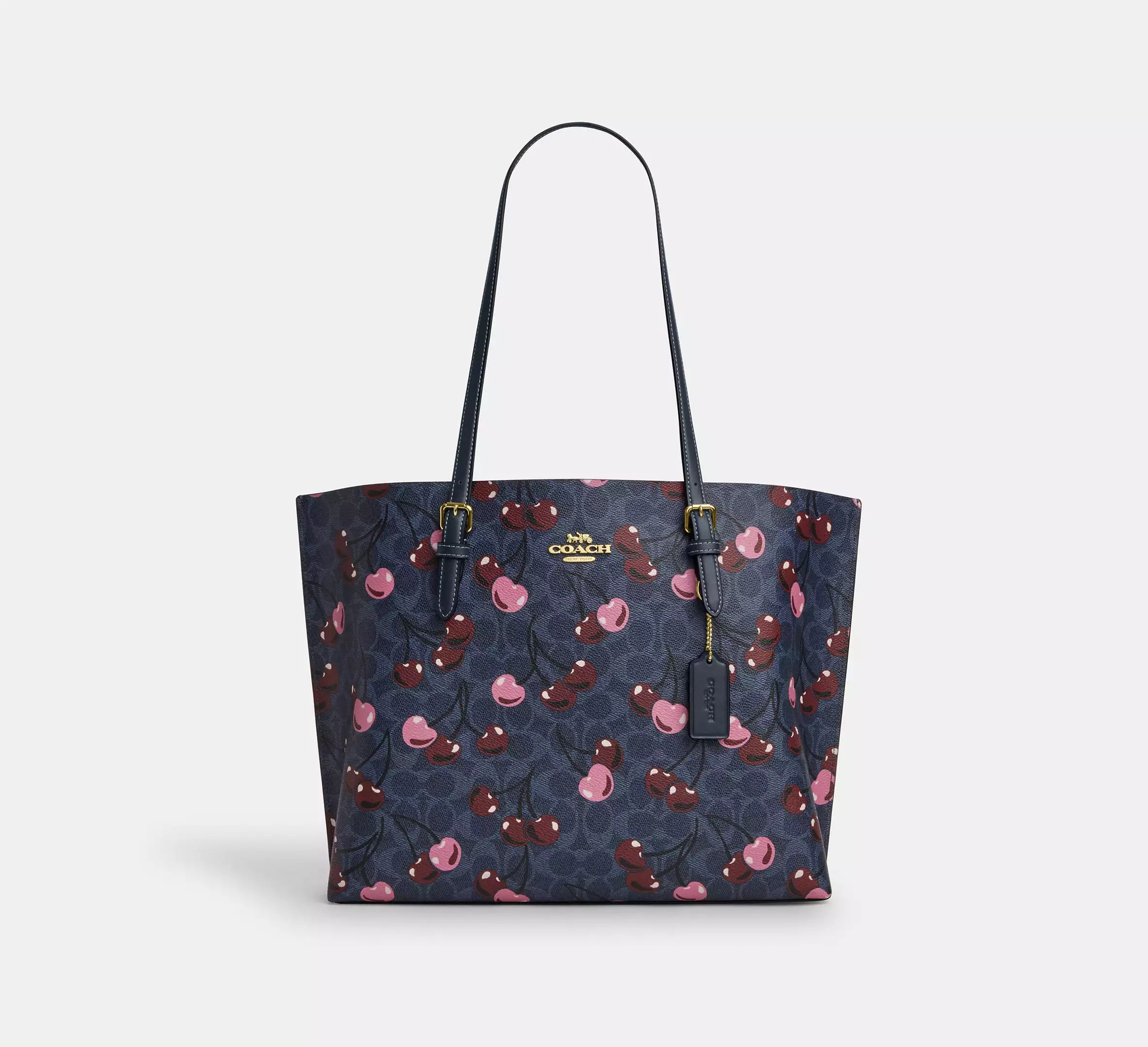 Coach Mollie Tote Bag