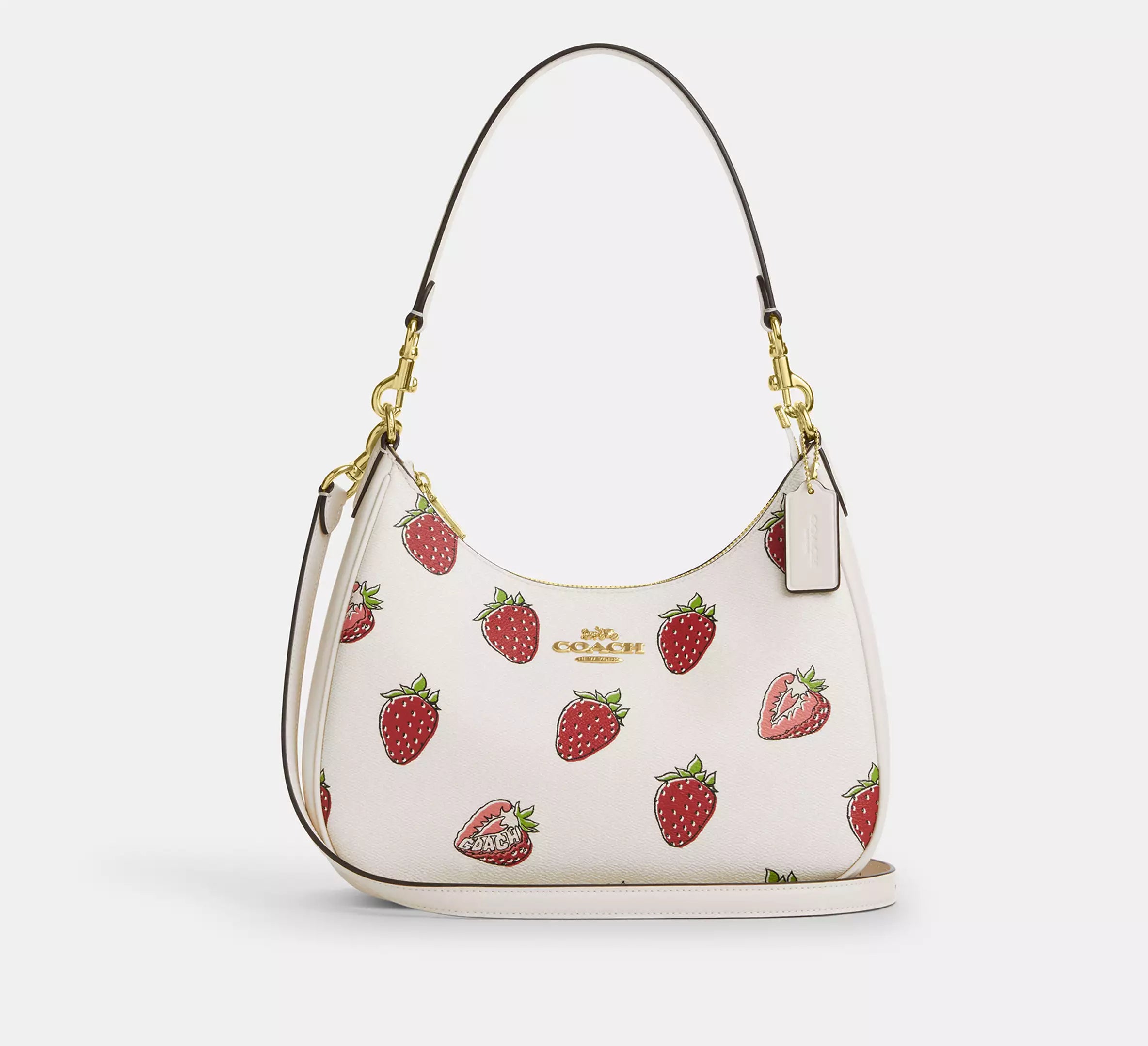 Coach Teri Hobo Bag