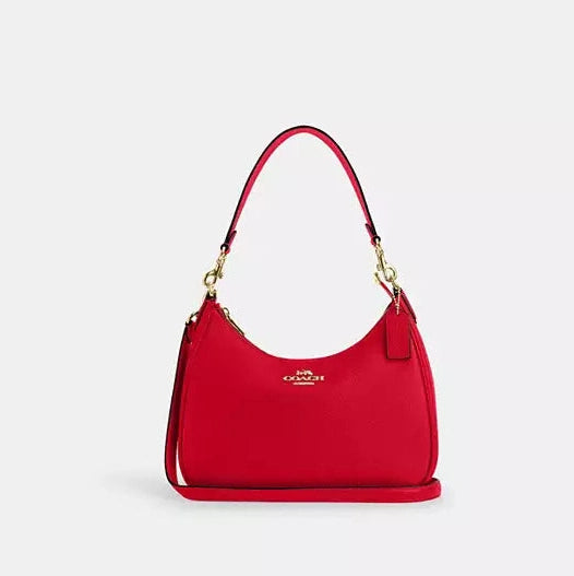Coach Teri Hobo Bag