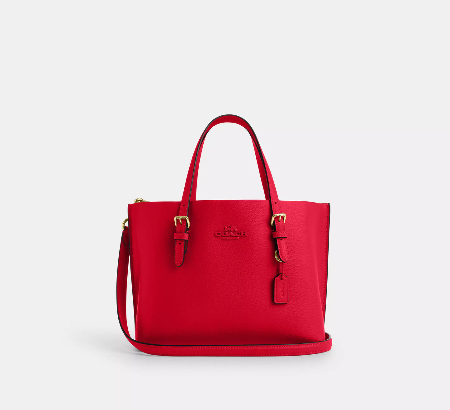 Coach Mollie Tote 25