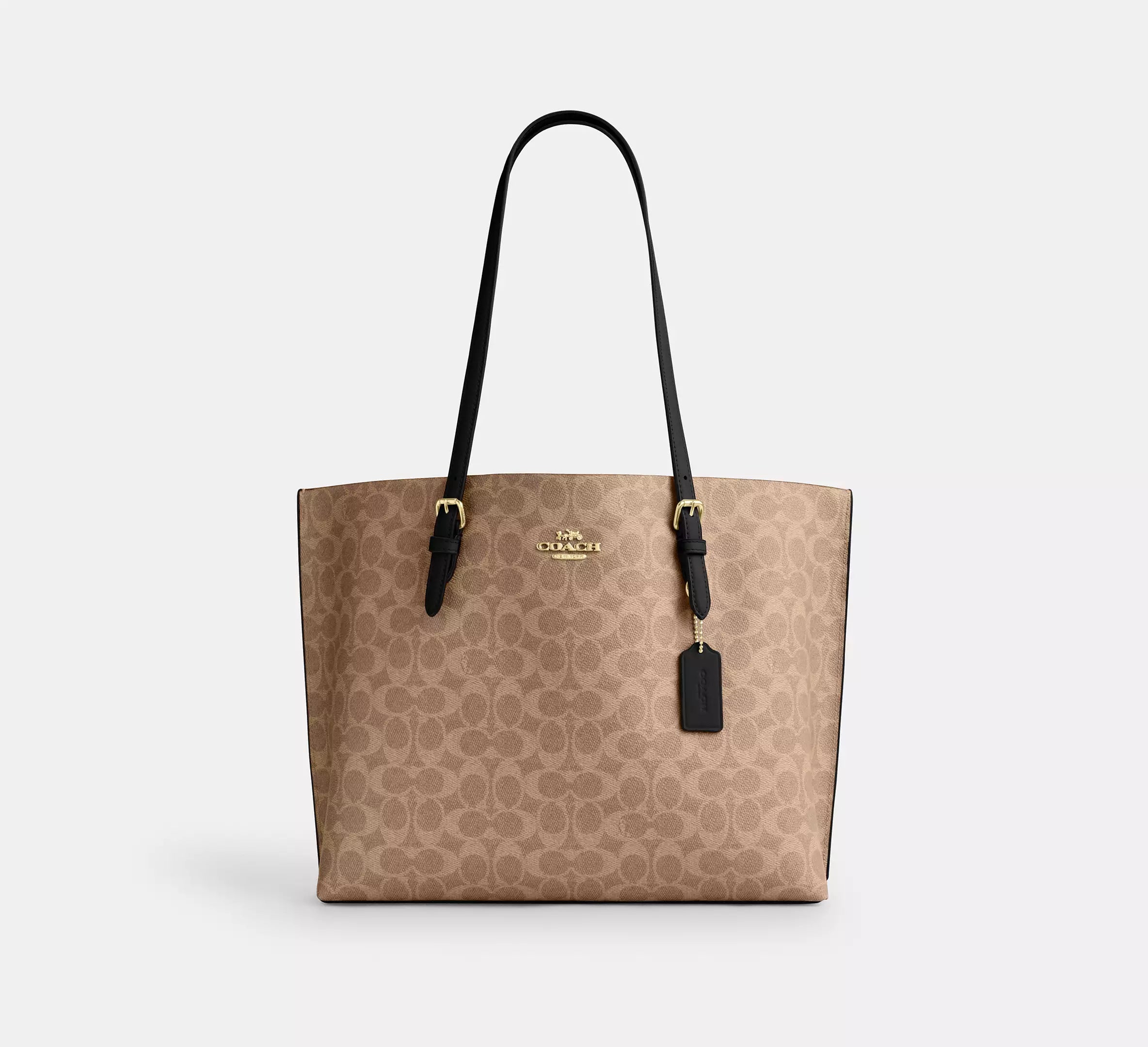 Coach Mollie Tote Bag