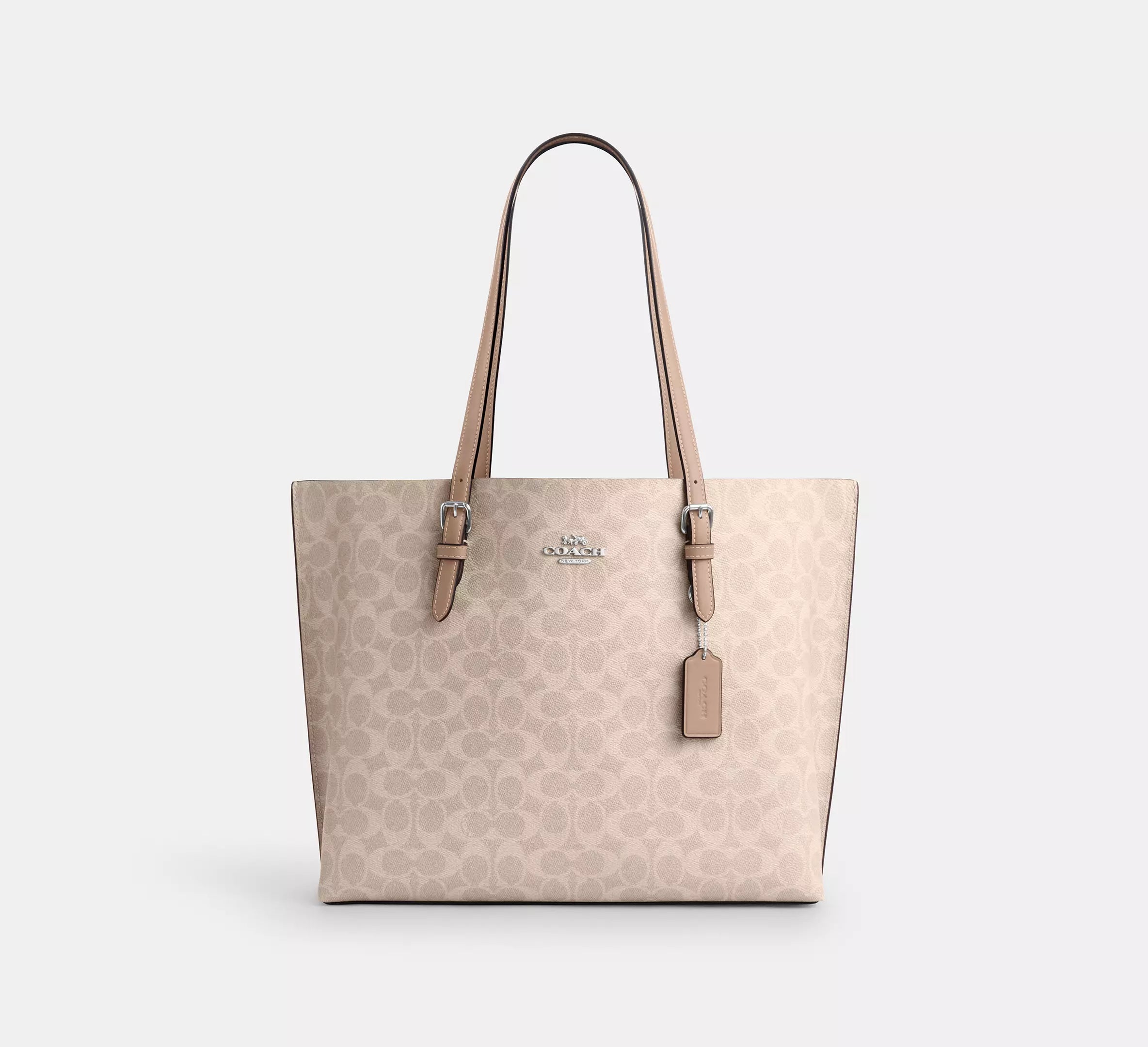Coach Mollie Tote Bag