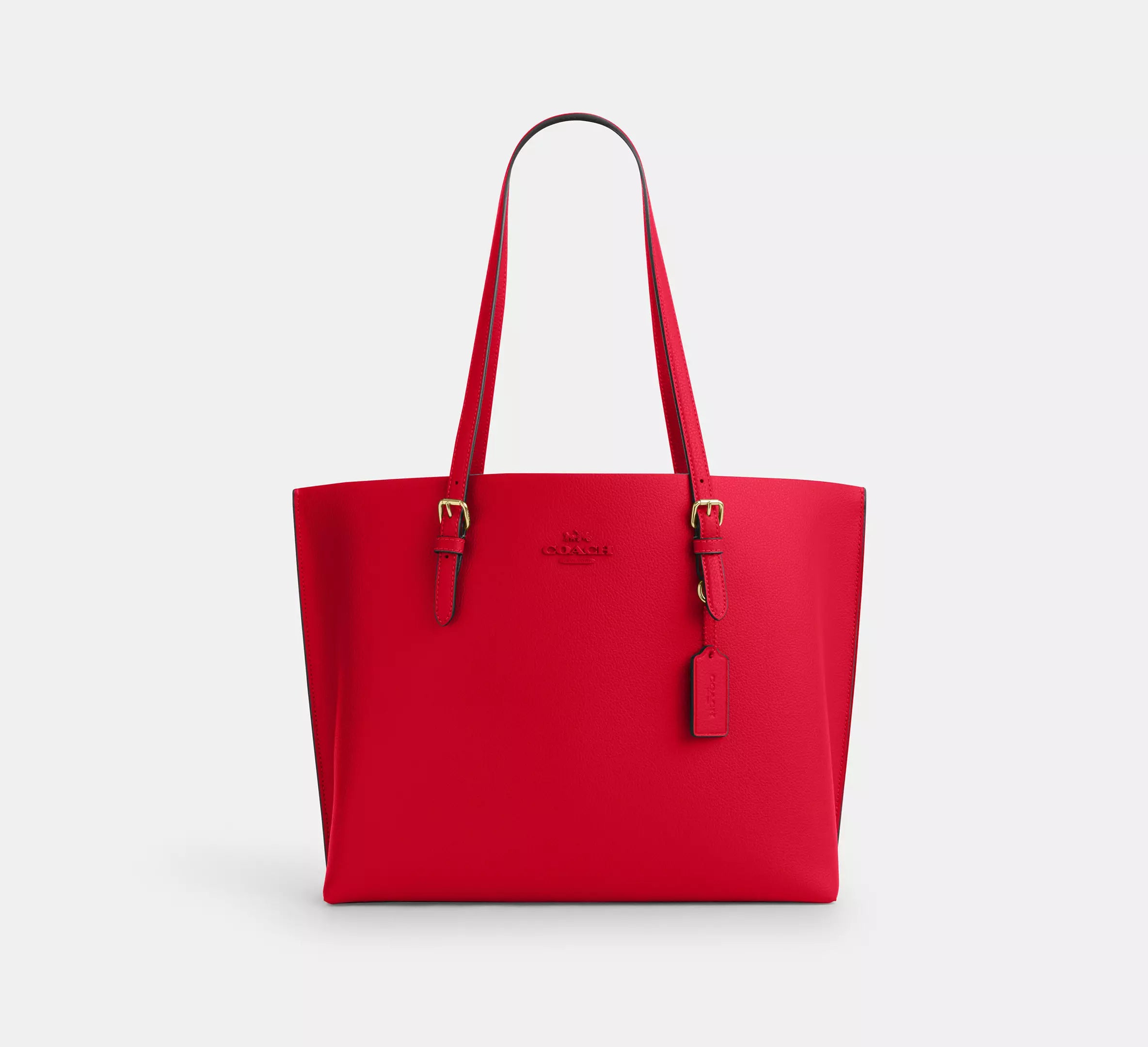 Coach Mollie Tote Bag