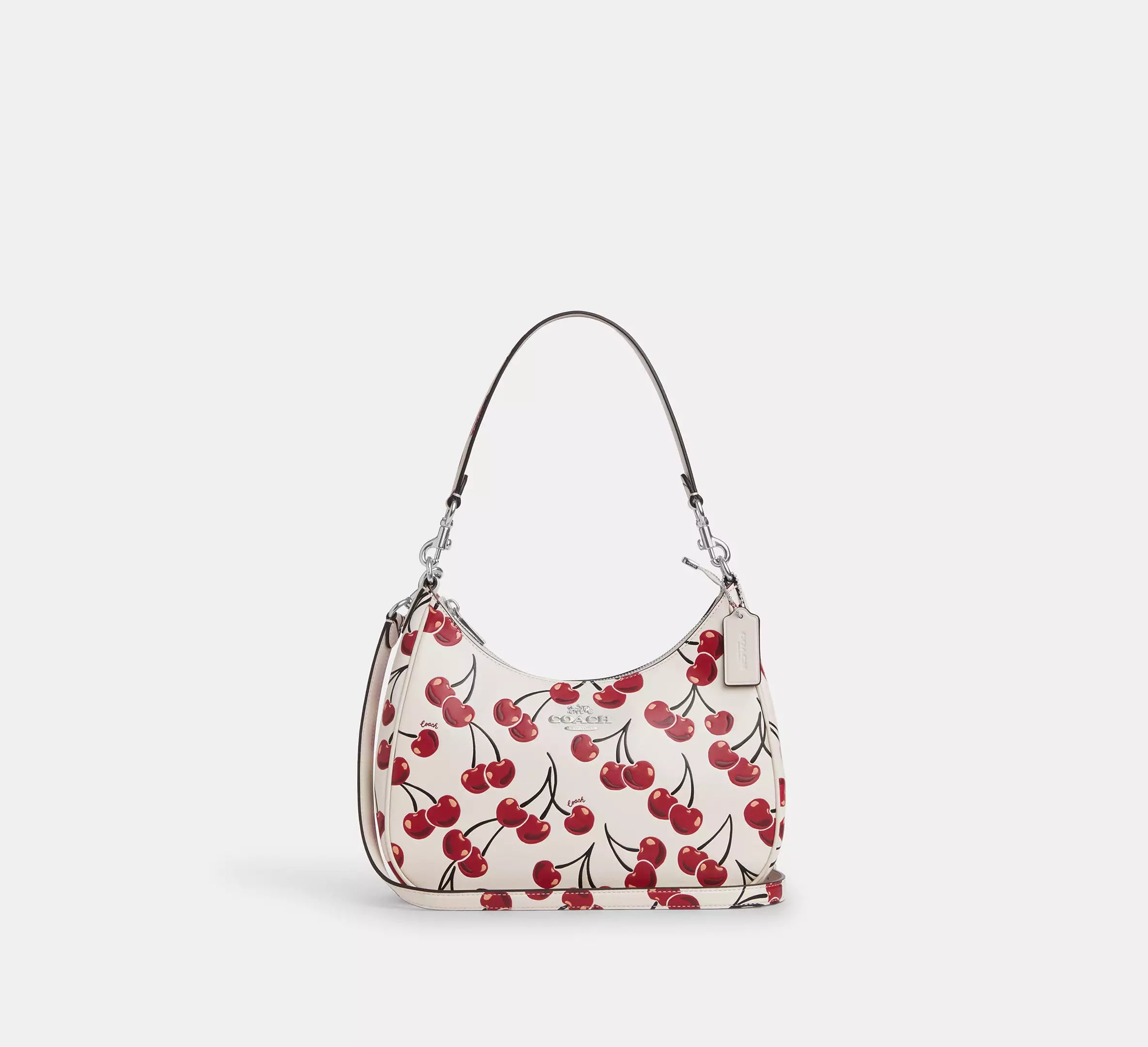 Coach Teri Hobo Bag