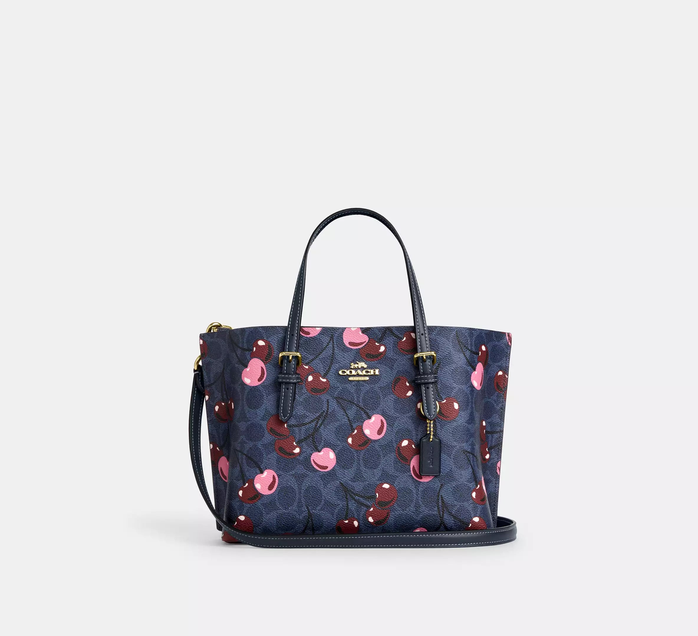 Coach Mollie Tote 25