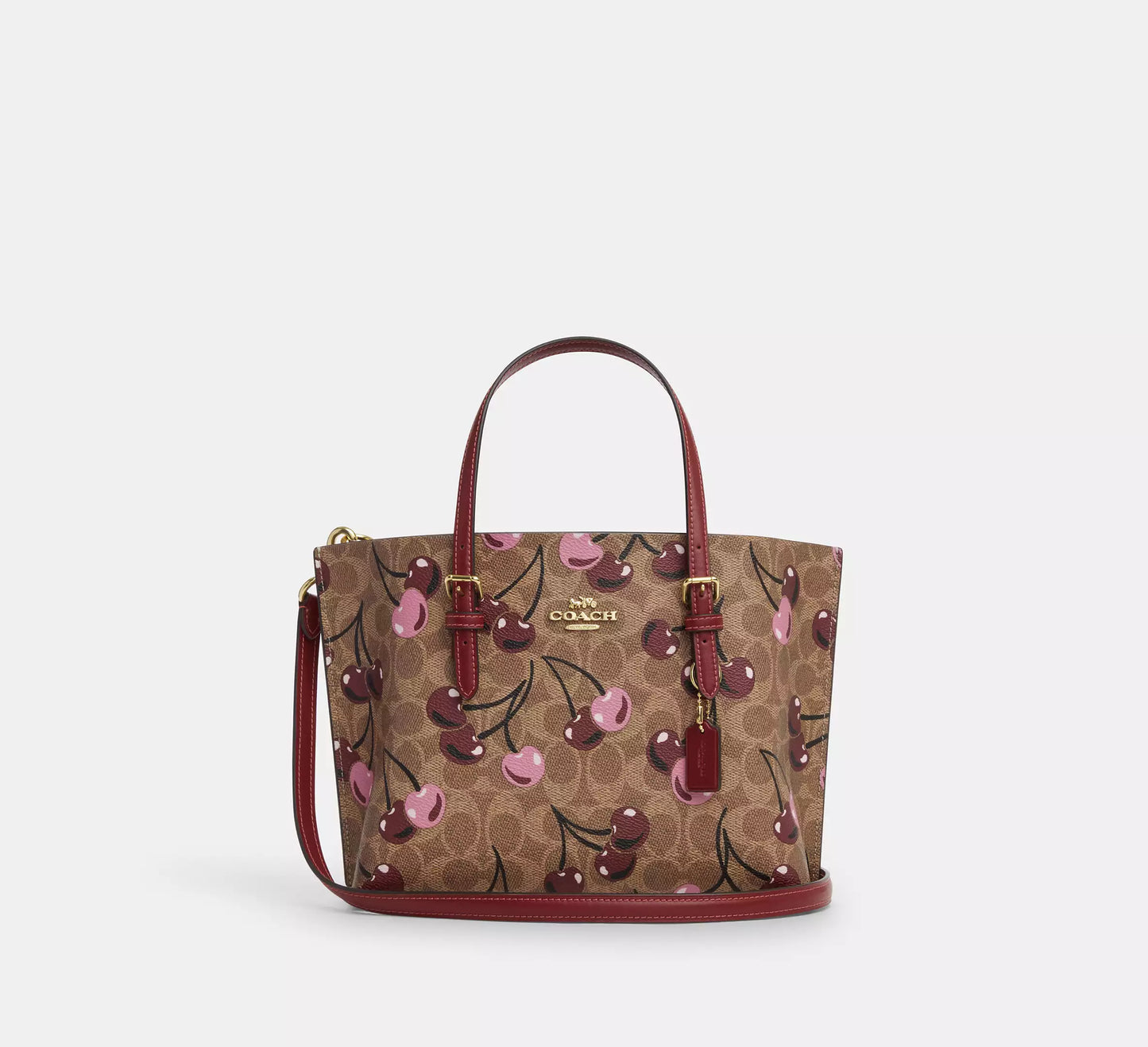Coach Mollie Tote 25