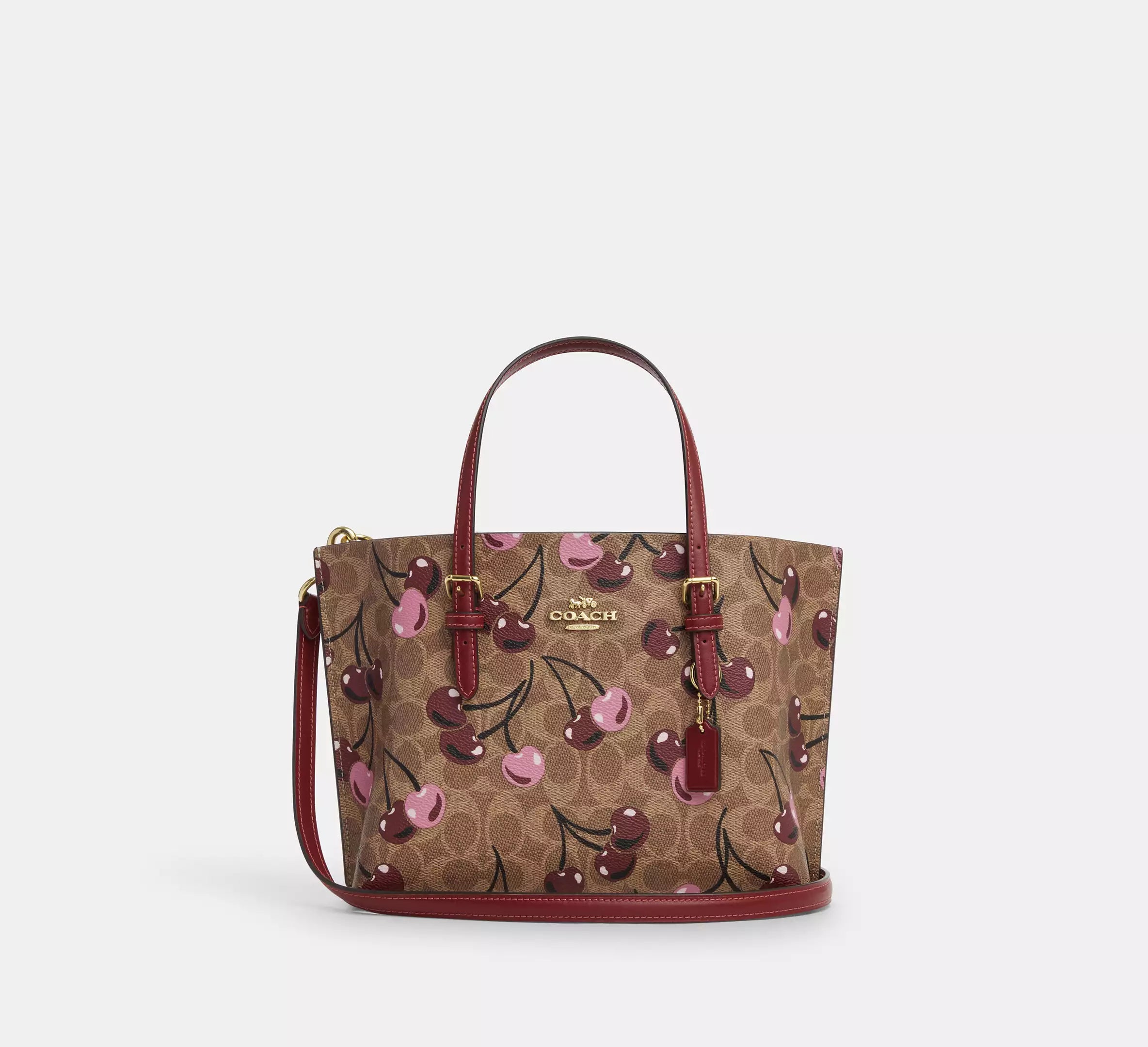 Coach Mollie Tote 25