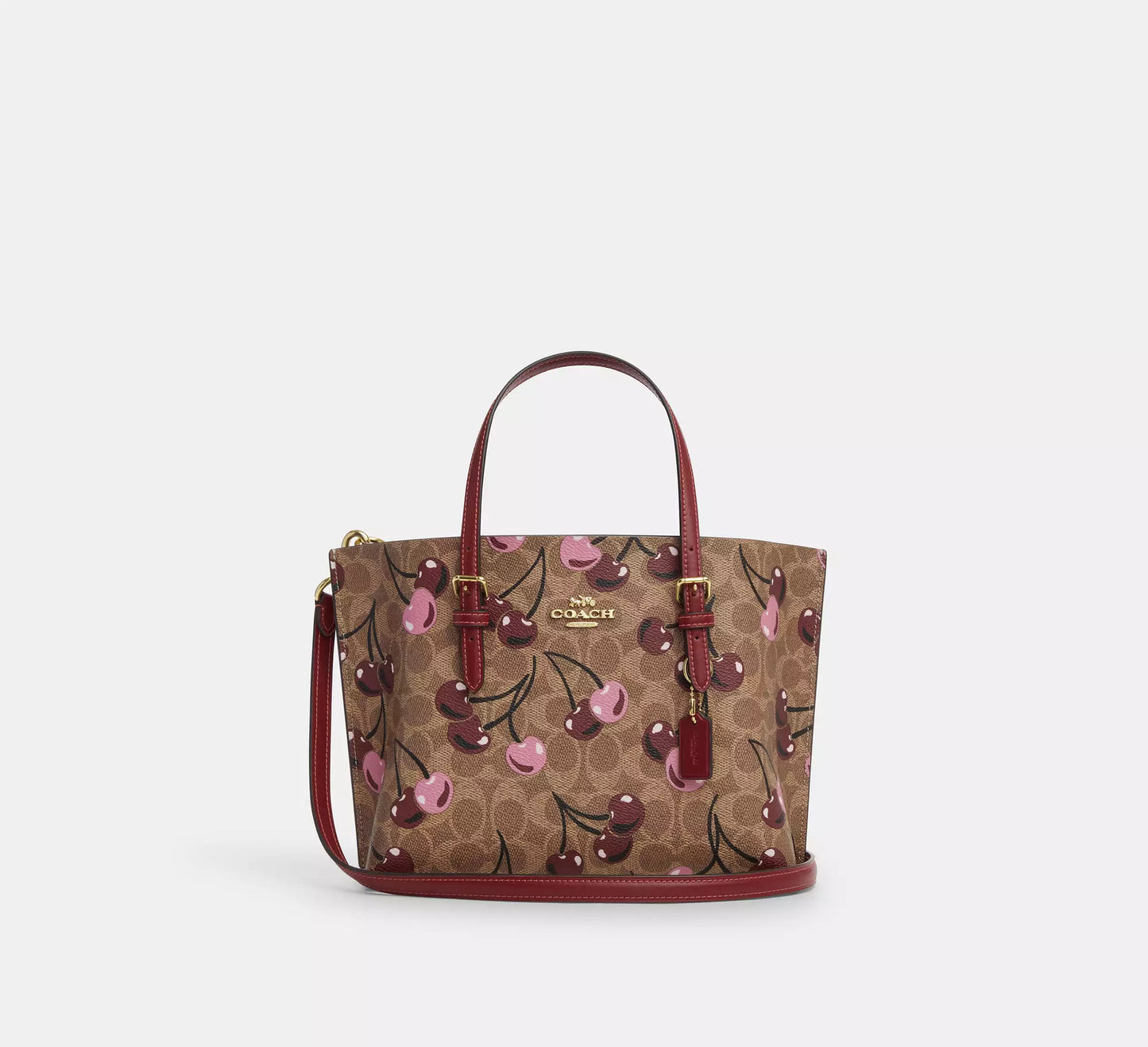 Coach Mollie Tote 25