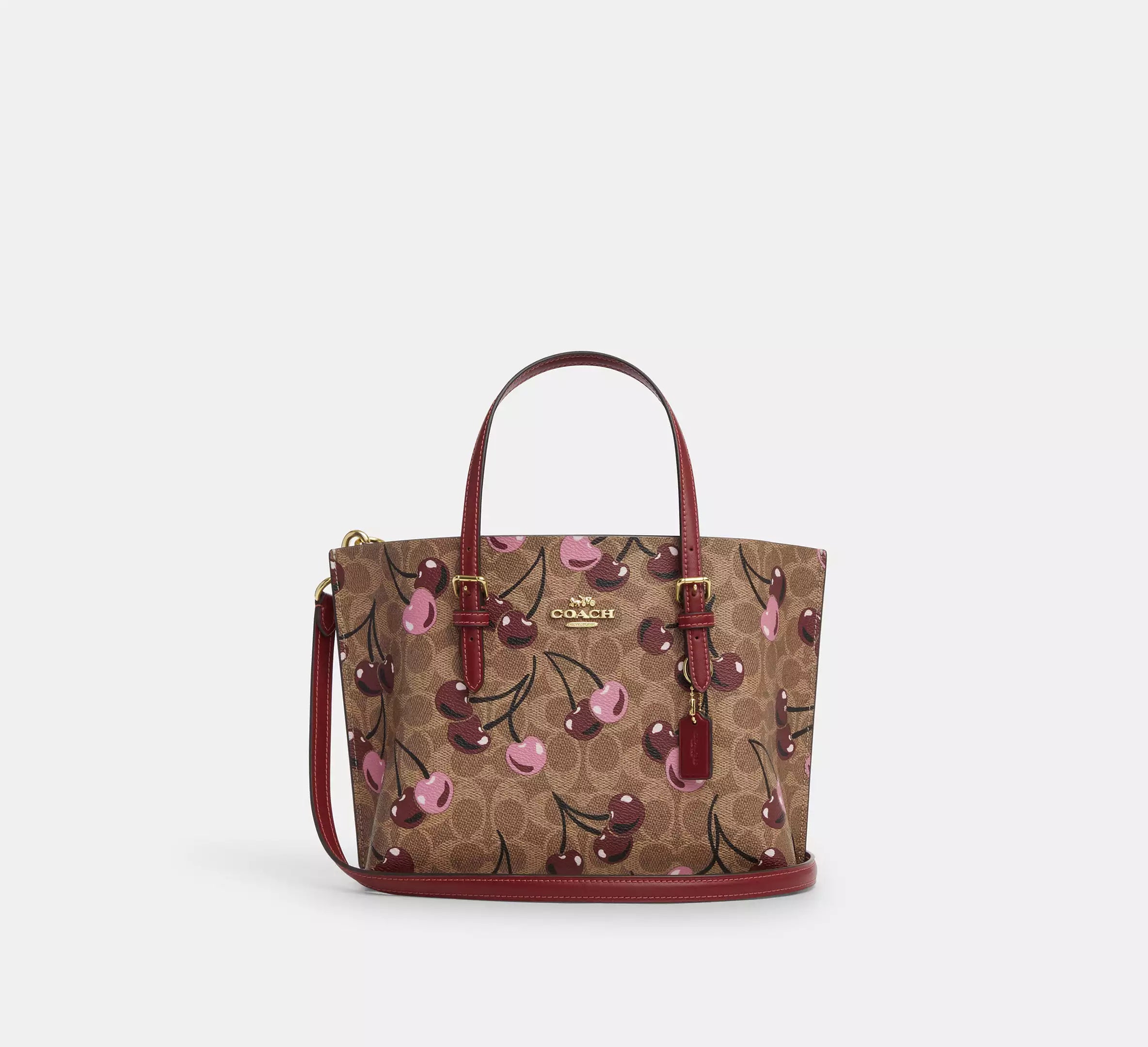 Coach Mollie Tote 25